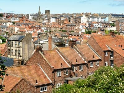 pexels-keroock-32475329